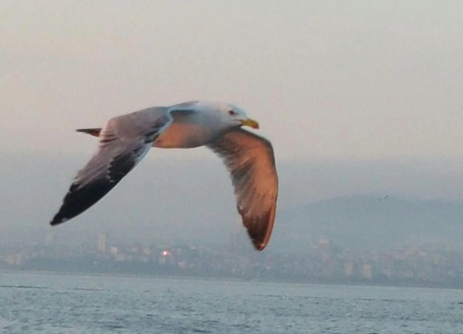 Villa Sphendone Suites Istanbul